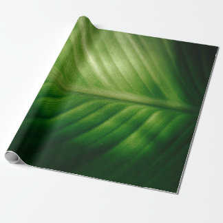 Close-up of green elaf wrapping paper