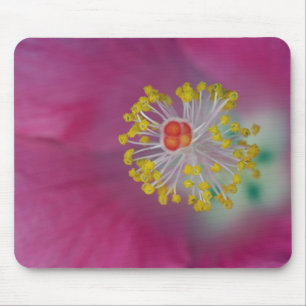 Close-up of Hibiscus flower stamen, Hibiscus Mouse Pad