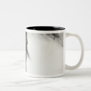Close-up of  horse eye and hair Two-Tone coffee mug