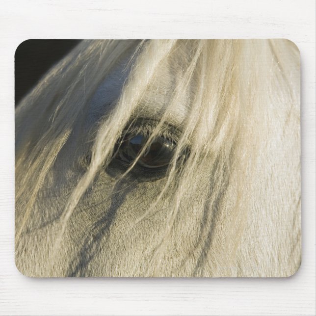 Close-up of Horse eye Mouse Pad (Front)