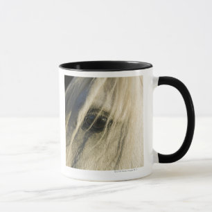 Close-up of Horse eye Mug