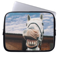 Close-up of Horse with Mouth Open