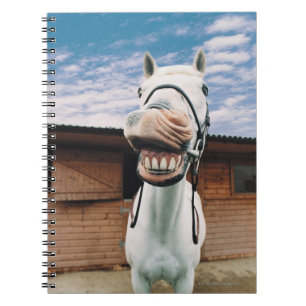 Close-up of Horse with Mouth Open Notebook