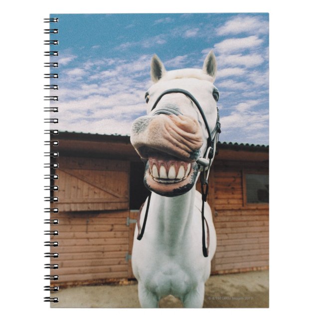 Close-up of Horse with Mouth Open Notebook (Front)