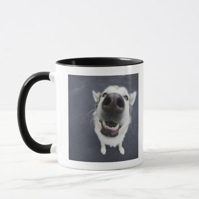 Close-up of husky's nose mug (Left)