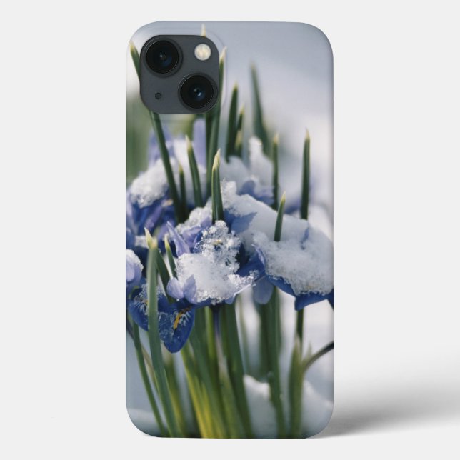 Close-up of Iris Case-Mate iPhone Case (Back)