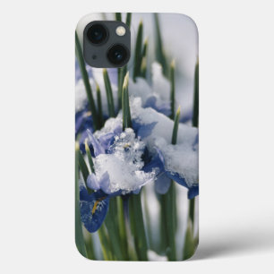 Close-up of Iris iPhone 13 Case
