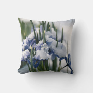 Close-up of Iris Cushion