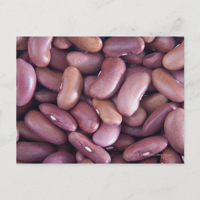 Close-up of kidney beans postcard (Front)