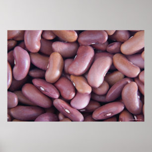 Close-up of kidney beans poster