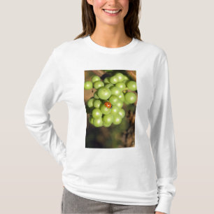 Close up of lady bug on green Pinot Noir grapes T-Shirt
