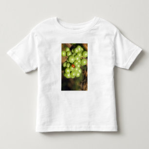 Close up of lady bug on green Pinot Noir grapes Toddler T-Shirt