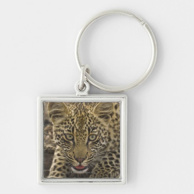 Close up of Leopard, Greater Kruger National 2 Key Ring (Front)