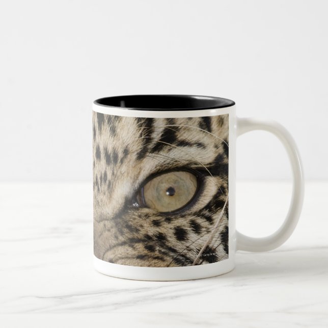 Close up of leopard growling Two-Tone coffee mug (Right)