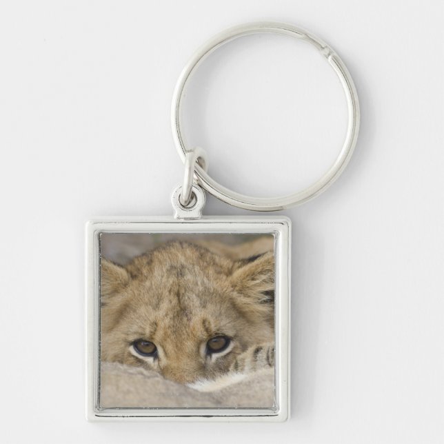 Close up of lion cub's face key ring (Front)