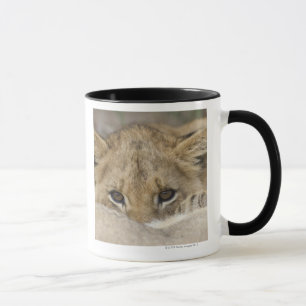 Close up of lion cub's face mug