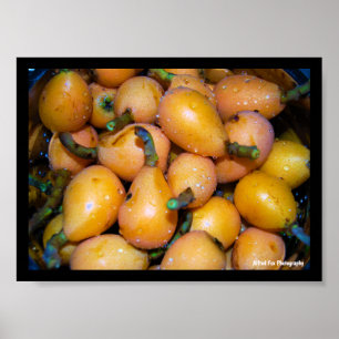Close up of Loquat Fruit Poster