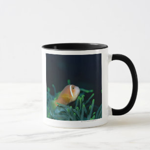 Close up of Maldives anemone fish, Maldives Mug