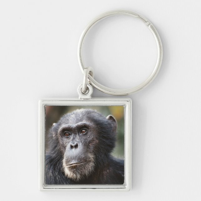 Close-up of male Chimpanzee Key Ring (Front)