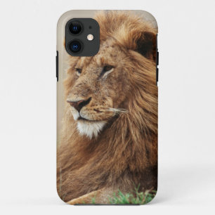 Close-up of male Lion iPhone 11 Case