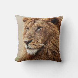Close-up of male Lion Cushion
