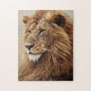 Close-up of male Lion Jigsaw Puzzle