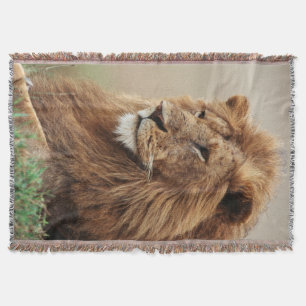 Close-up of male Lion Throw Blanket