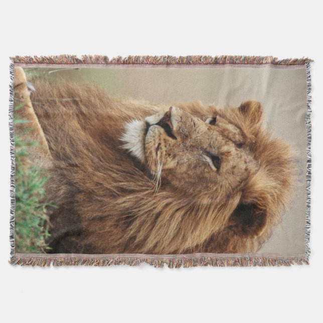 Close-up of male Lion Throw Blanket (Front)