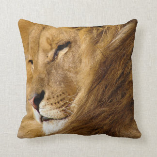 Close Up of Male Lion's Head Face Cushion