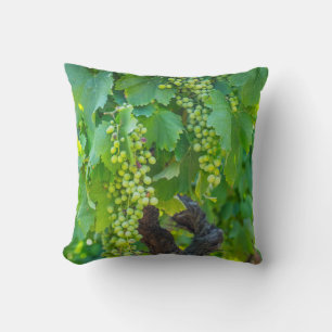 Close Up Of Maturing Grapes Cushion