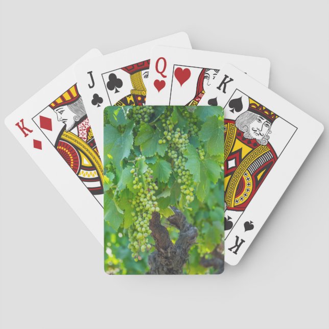 Close Up Of Maturing Grapes Playing Cards (Back)