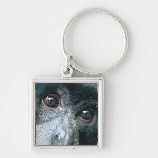 Close-up of monkey key ring (Front)