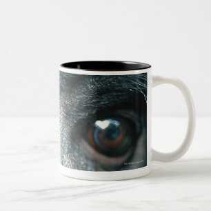 Close-up of monkey Two-Tone coffee mug