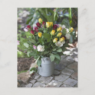 Close-up of multi-coloured roses postcard