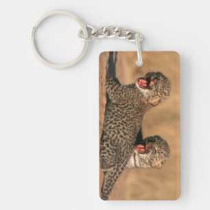 Close-Up Of New Born Leopard (Panthera Pardus) Key Ring