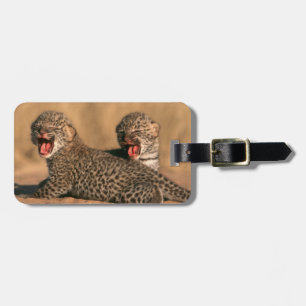 Close-Up Of New Born Leopard (Panthera Pardus) Luggage Tag