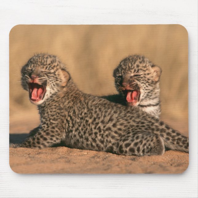 Close-Up Of New Born Leopard (Panthera Pardus) Mouse Pad (Front)