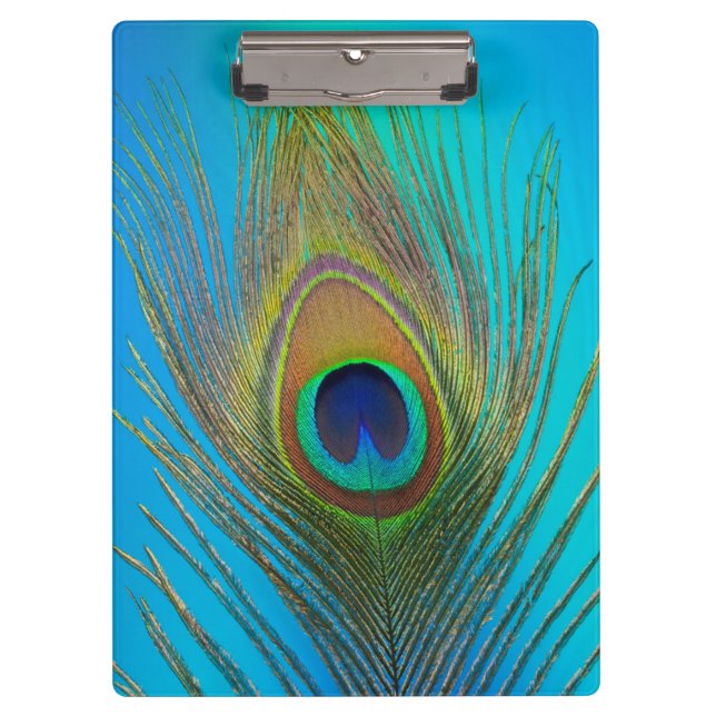Close up of peacock feather clipboard (Front)