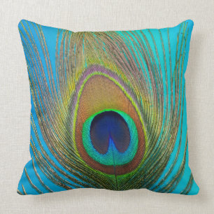 Close up of peacock feather cushion