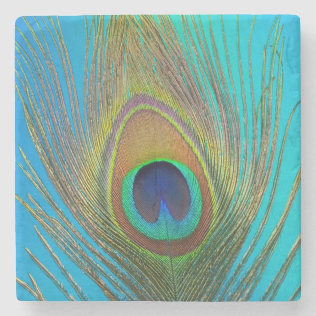 Close up of peacock feather stone coaster (Front)