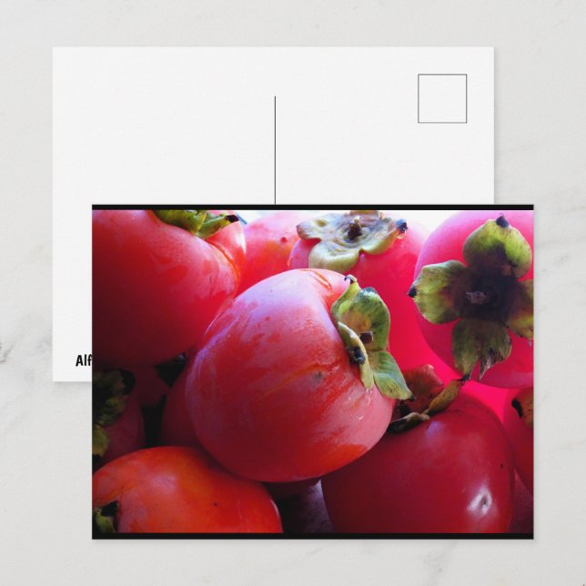 Close up of Persimmon Fruit Postcard (Front/Back)