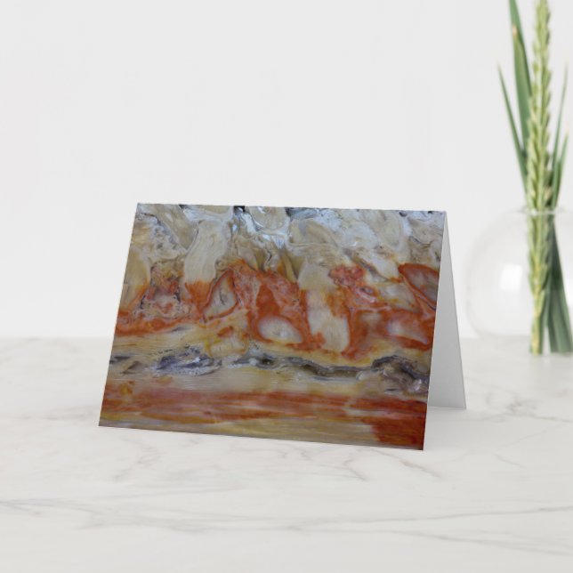 Close Up Of Petrified Wood Card (Front)