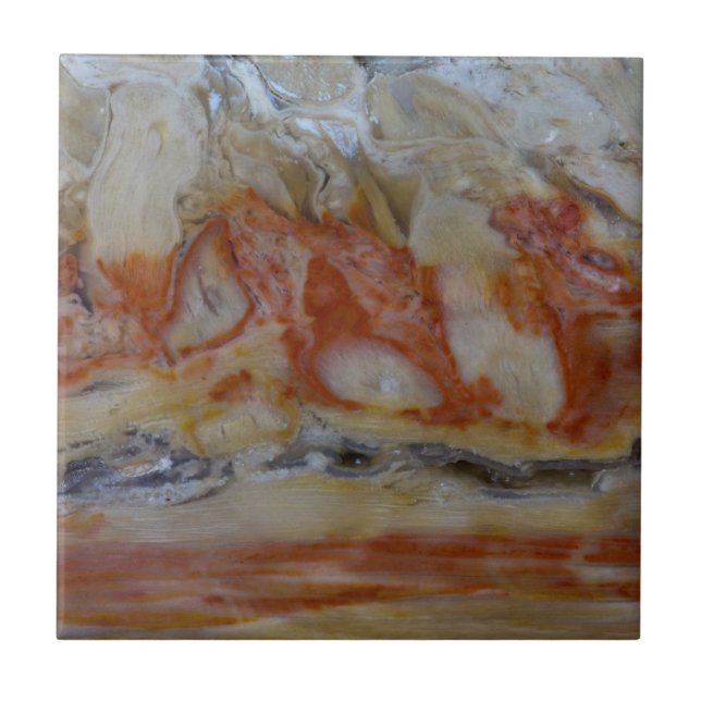 Close Up Of Petrified Wood Ceramic Tile (Front)