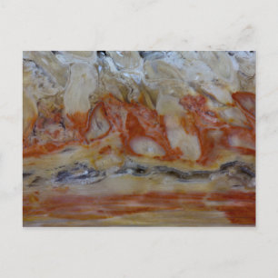Close Up Of Petrified Wood Postcard