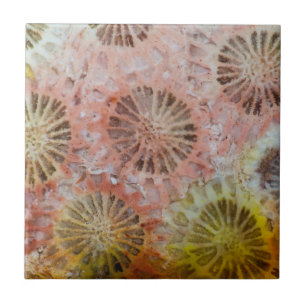 Close Up Of Pink Coral Ceramic Tile