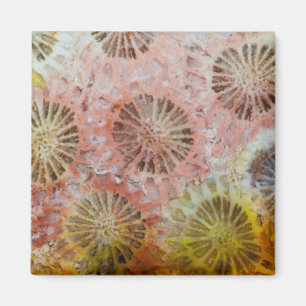 Close Up Of Pink Coral Magnet