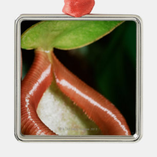 Close-up of pitcher plant metal tree decoration