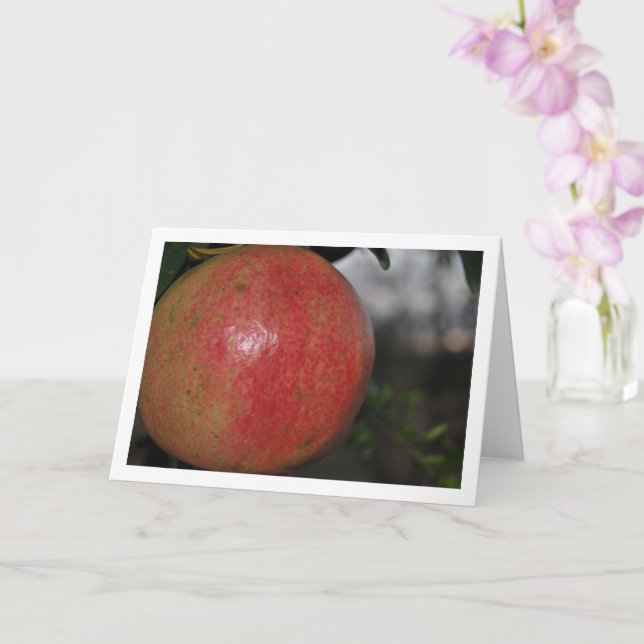 Close-up of Pomegranate Fruit on Tree Card (Orchid)