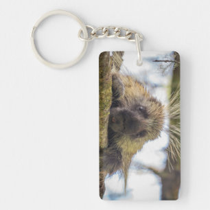 Close-up of porcupine in a tree key ring