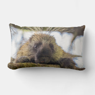 Close-up of porcupine in a tree lumbar cushion